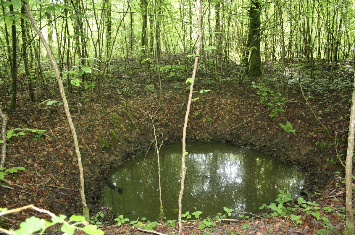 Discovering the frontline and beyond. tweet media