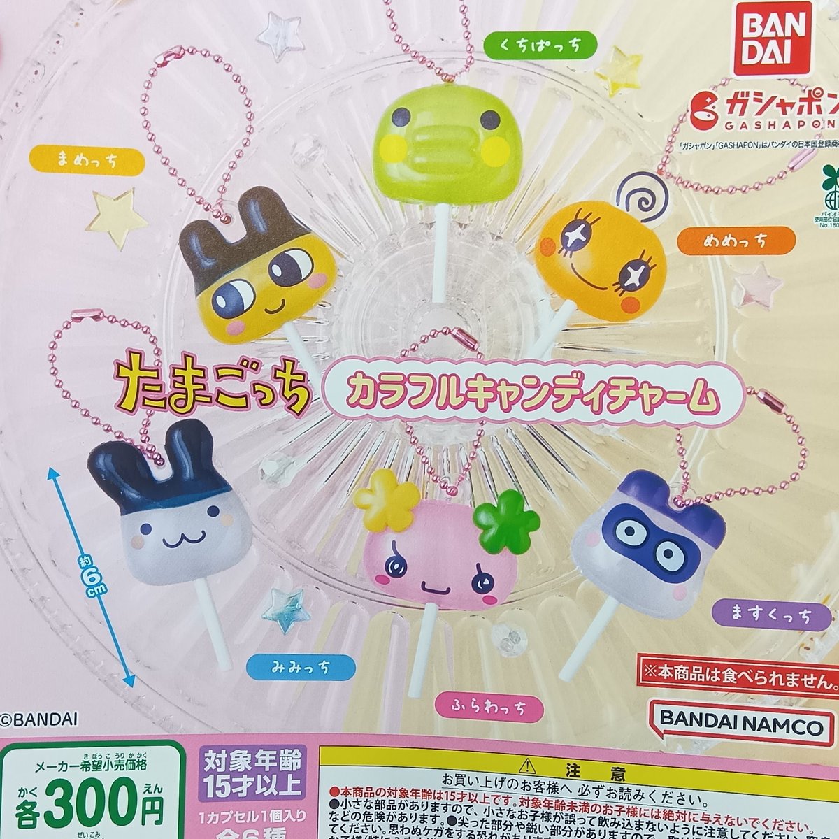 2026年2月27日 カプセル楽局 阿佐ヶ谷店 ✨新入荷、再入荷情報