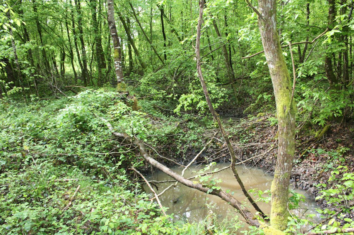 Discovering the frontline and beyond. tweet media