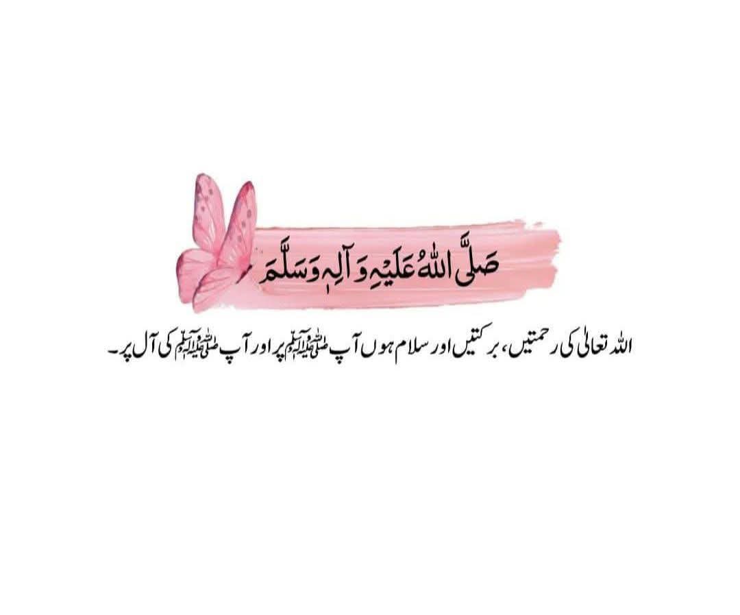 aamircheema3137's tweet photo. تاجدار جہاں یا نبی ﷺ محترم 
تم ﷺ یہ ہر دم کروڑوں درود و سلام
#اردو_زبان https://t.co/Rxhi2oG1ww