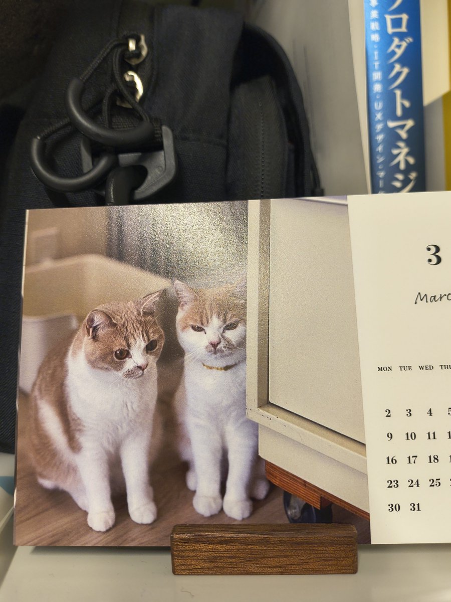 ymtk|技術書典20「く08」【かるちべ堂出版】Takahiro YAMAGUCHI tweet media