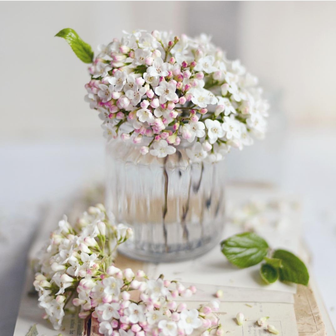 Hayırlı cumalar 🤍