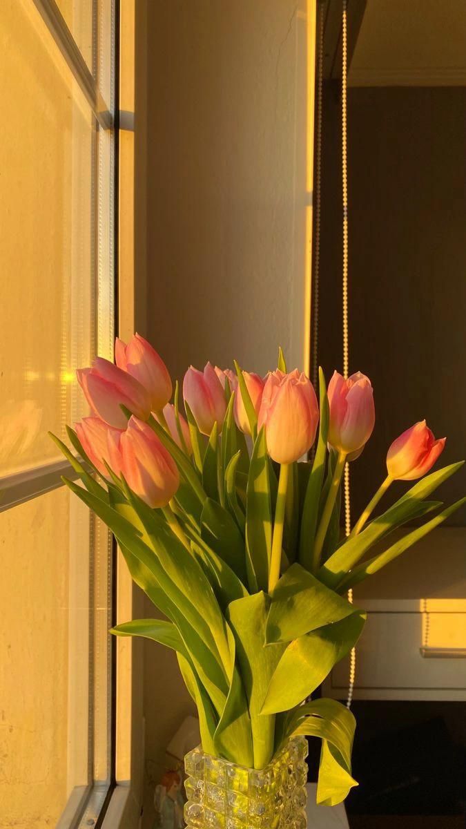 World Click (@worldclick56) on Twitter photo 