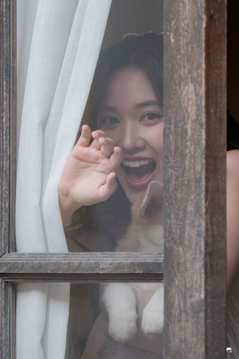 มานเปิดม่านมาอวดน้องหมาอ่ะ ฮืออออออ ใจผ๊มมมมมมมมมม

Fundao Lupo
#FundaoLupoXfreen