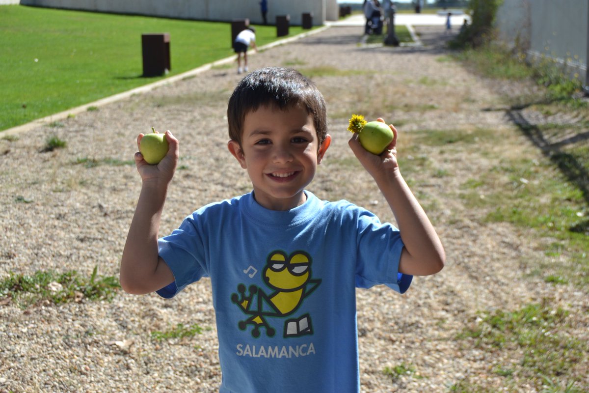 Chus del Barco tweet media