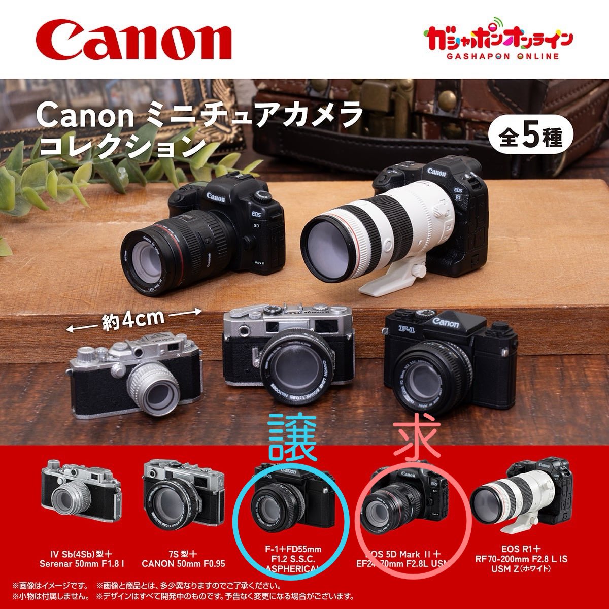 ふうか tweet media