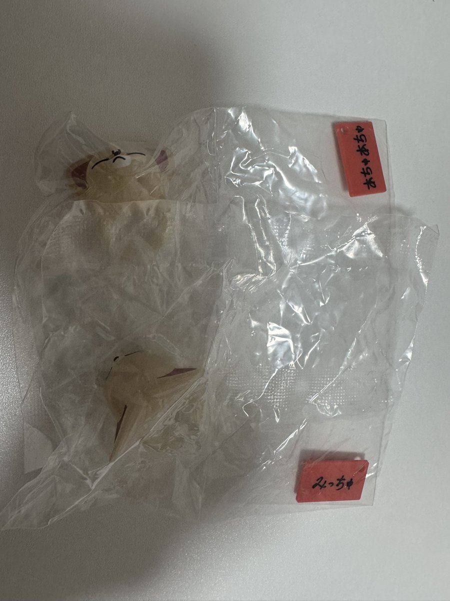 R🐺🦝 tweet media