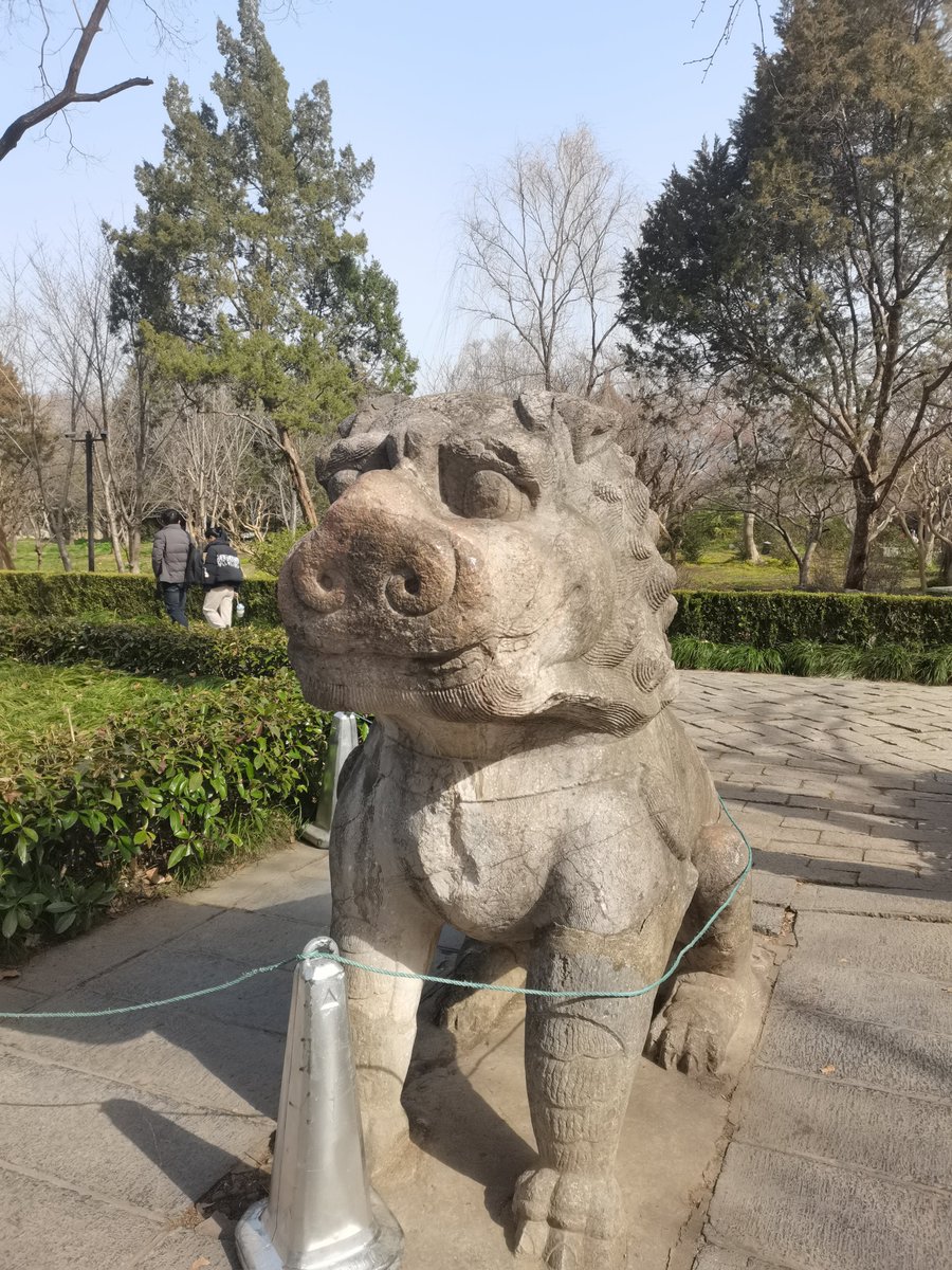 Fred（互fo） tweet media