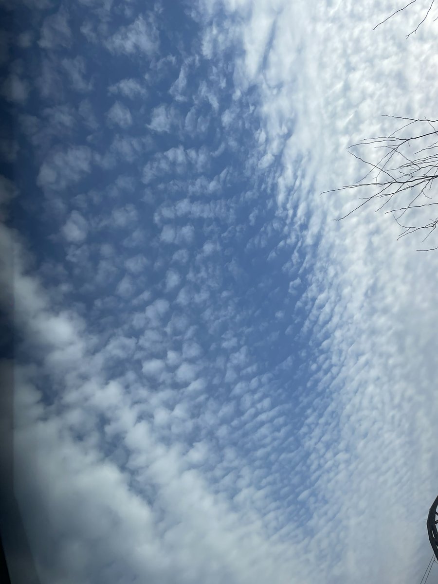 <a href="/DutchForce17/">DutchForce17</a> Het begon blauw….