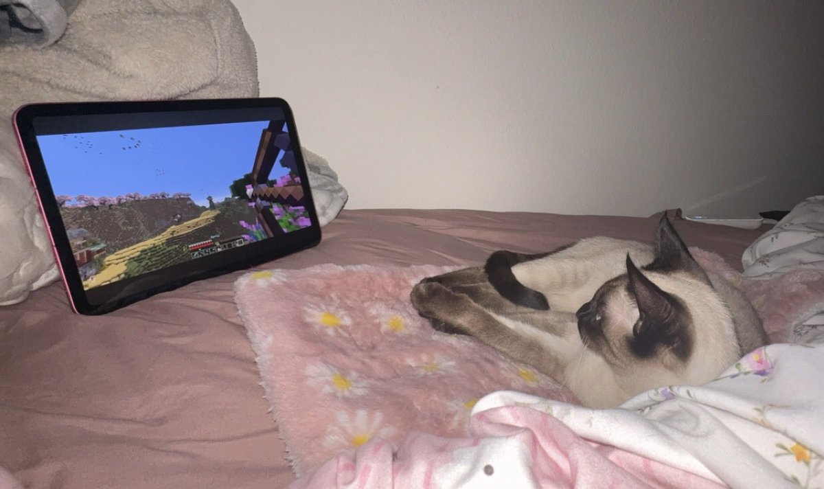 randomlysrikaVT tweet media