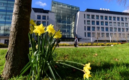 UCD Politics and International Relations tweet media