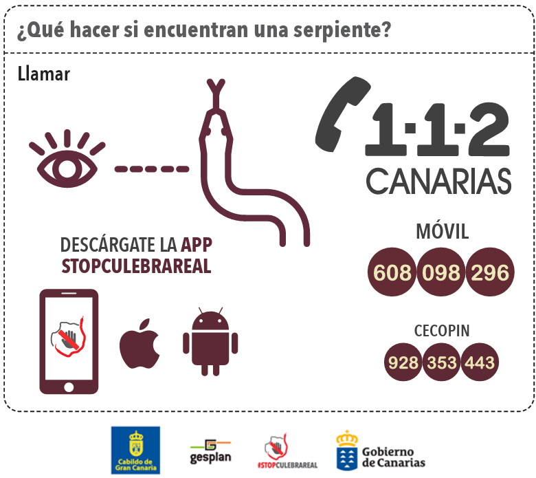 Canaragua tweet media