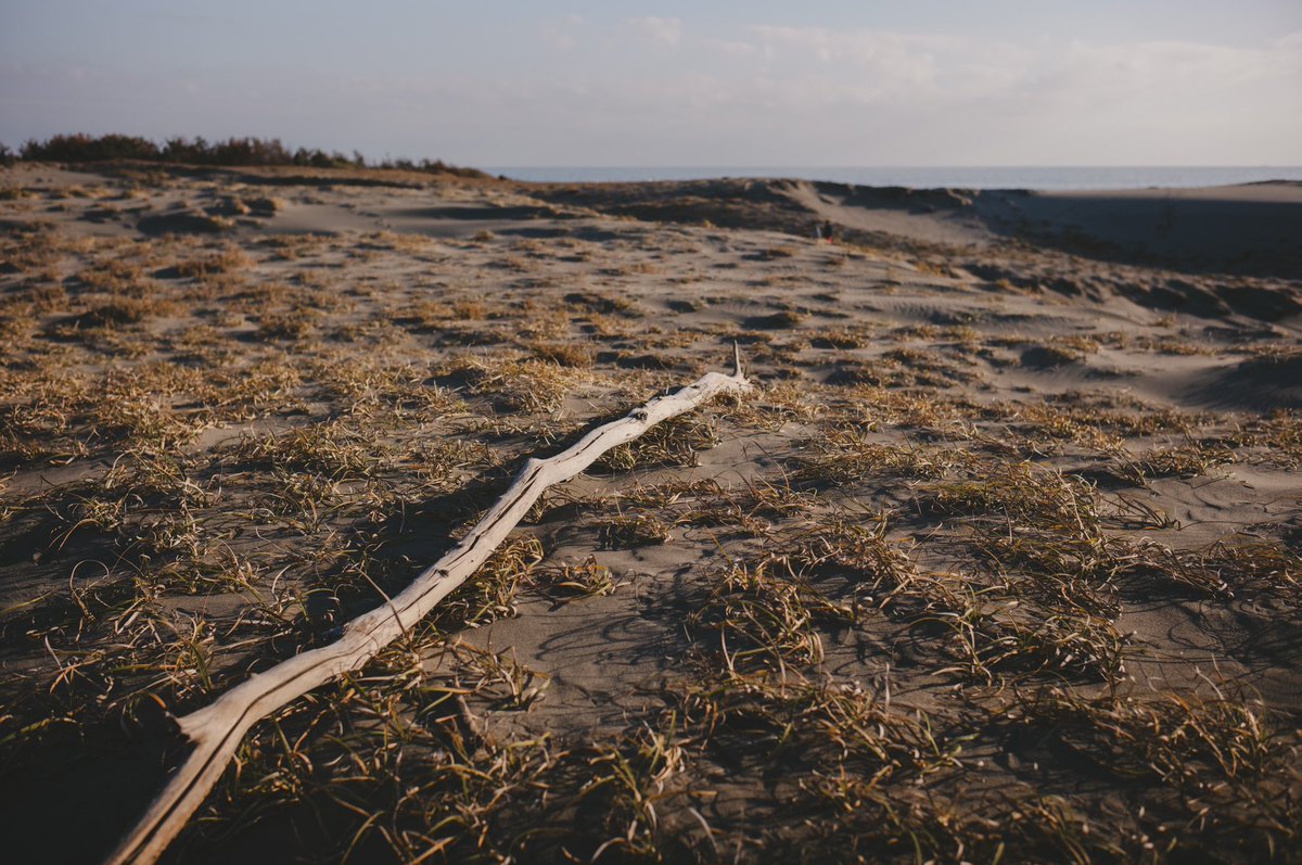 Etsuji Sato tweet media