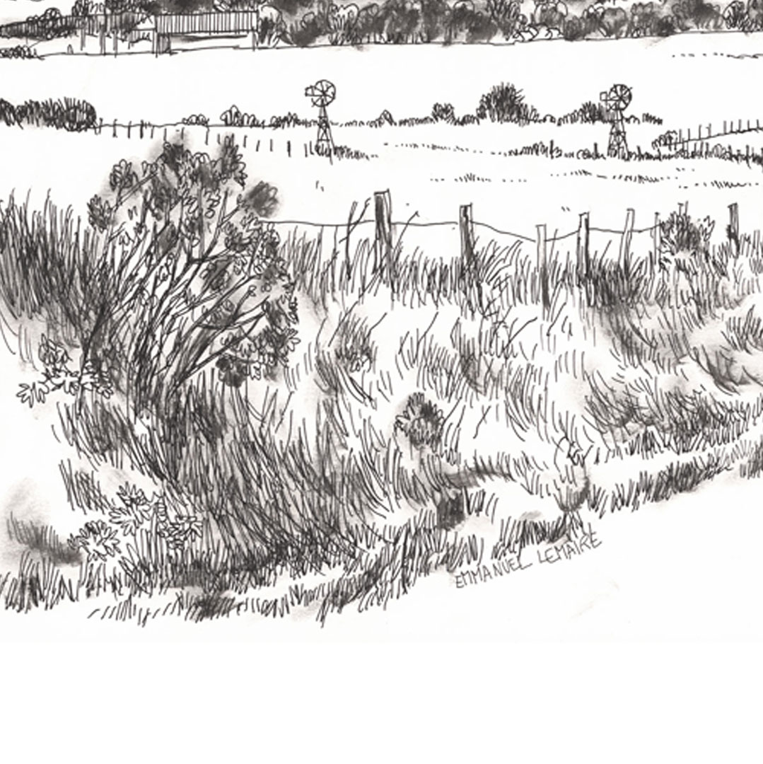 emmanuelemaire's tweet image. #détail