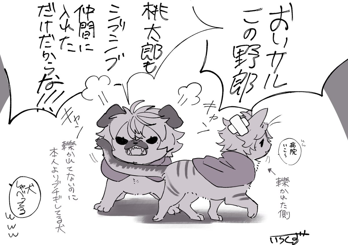 色鱗 取り置き受付中 にじそ11 西2ホール は-48 tweet media