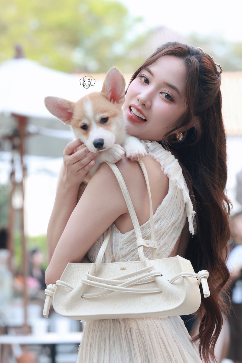 sakimina0324's tweet photo. 260227
🐰🐶

Fundao Lupo
#FundaoLupoXfreen
#srchafreen https://t.co/2ifBuZfHwL