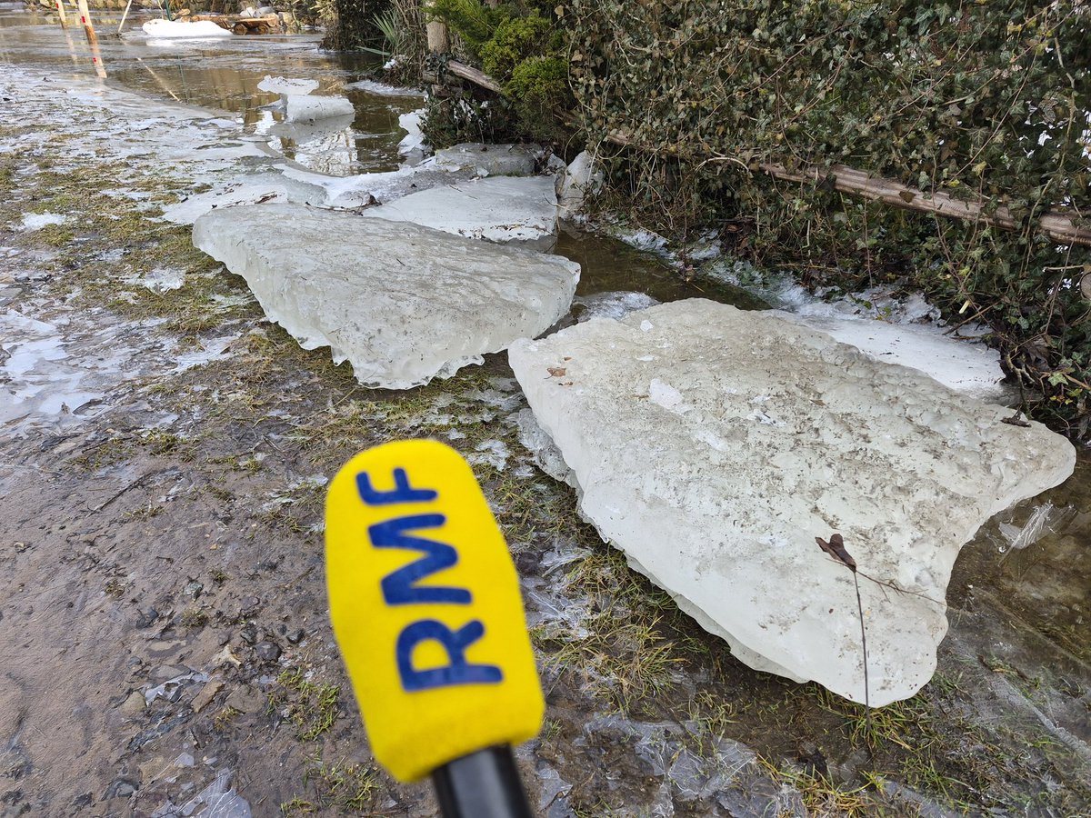 Michał Radkowski tweet media