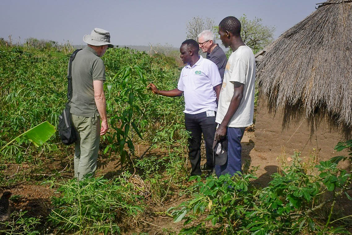 Agency for Accelerated Regional Development-AFARD tweet media