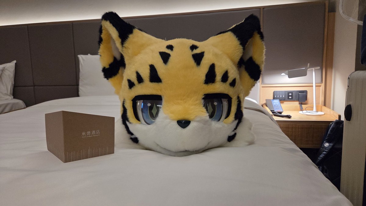 明弦Meigen➡UTFG2026 tweet media