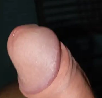 Thiago_dotperv's tweet photo. Spoiler da peça 😅
Resto na DM, já chega manda dando da sua tbm

Novin dotado aqui
Mucilon tem preferência! Quanto mais novin melhor https://t.co/QoDgrd4NZt