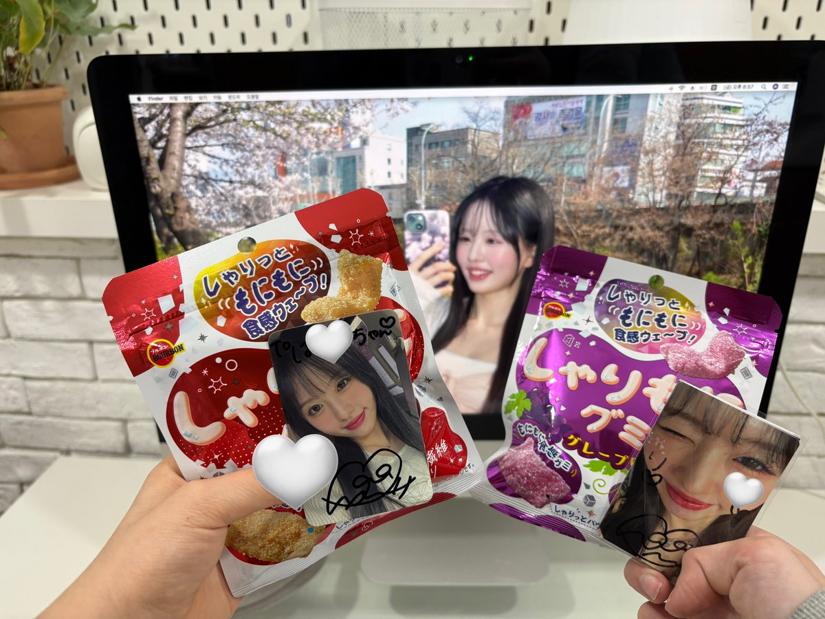 ara123__'s tweet photo. #はなみだむ ♡ https://t.co/c0Kp2QD6F1