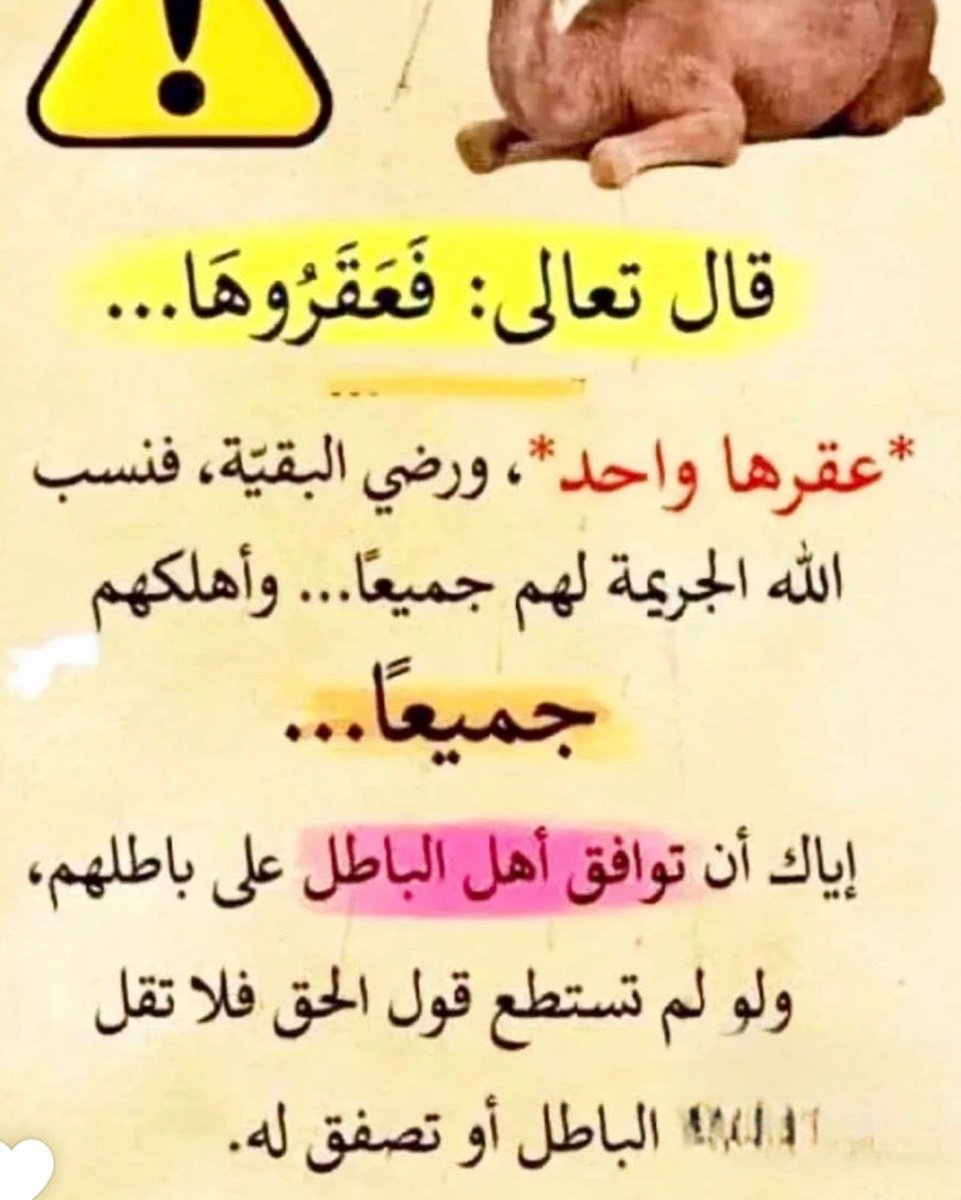 سعود صاهود المطيري tweet media