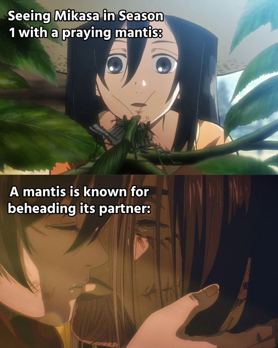 Anime Shots tweet media