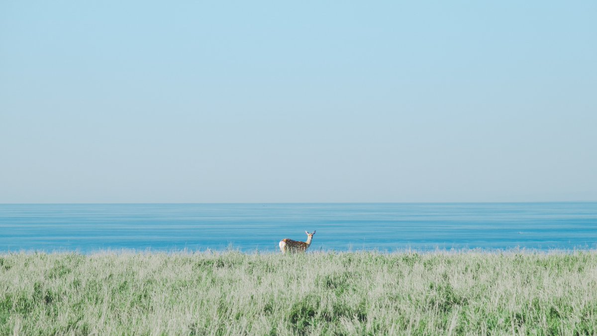 ひなた tweet media