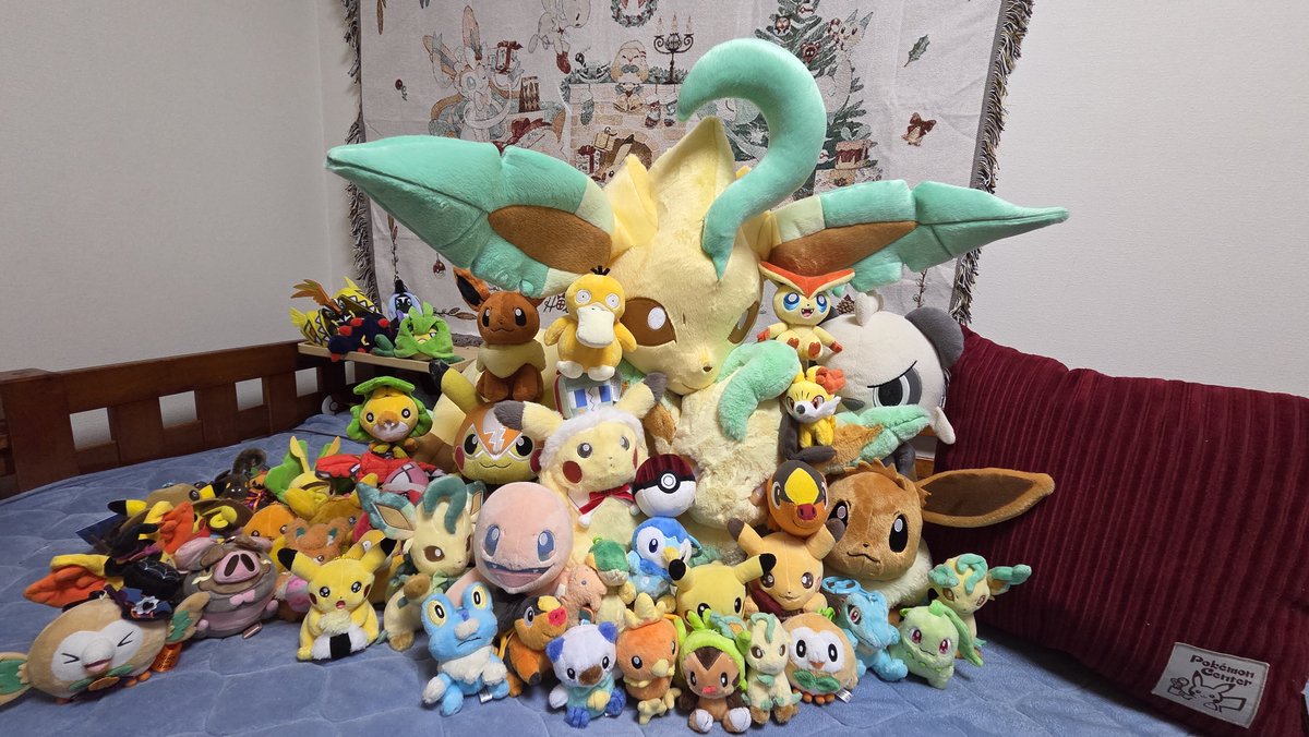 とど🐹🩵🍼 tweet media