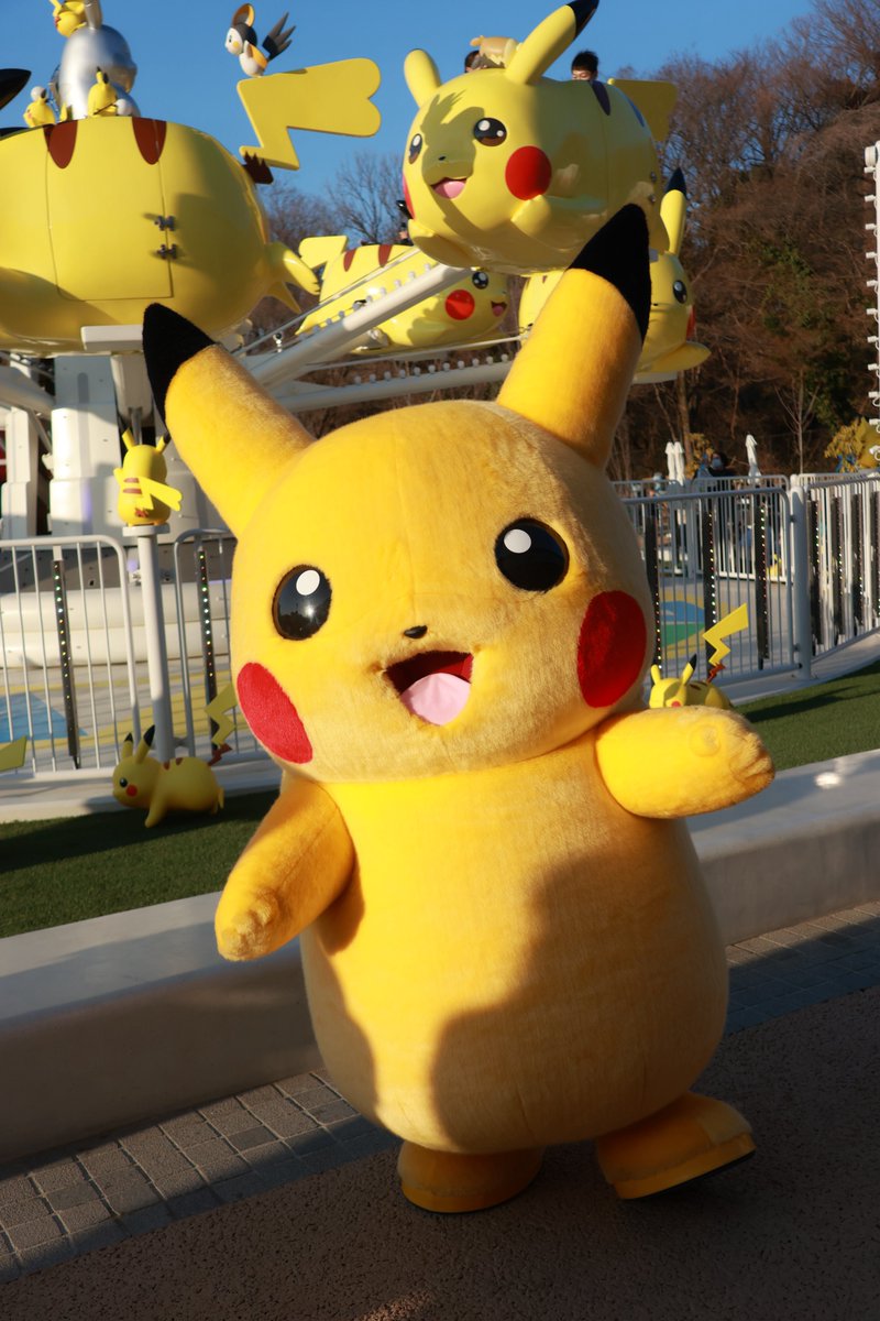 ポケパークのピカチュウが仲間だよー！て紹介してくれてた