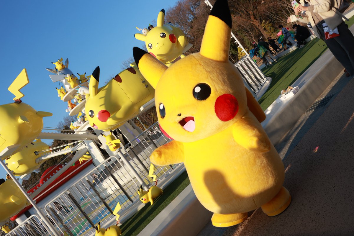 ポケパークのピカチュウが仲間だよー！て紹介してくれてた