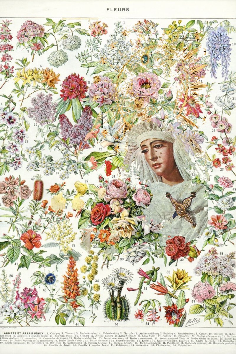 - de todas las flores, LA escogida. -