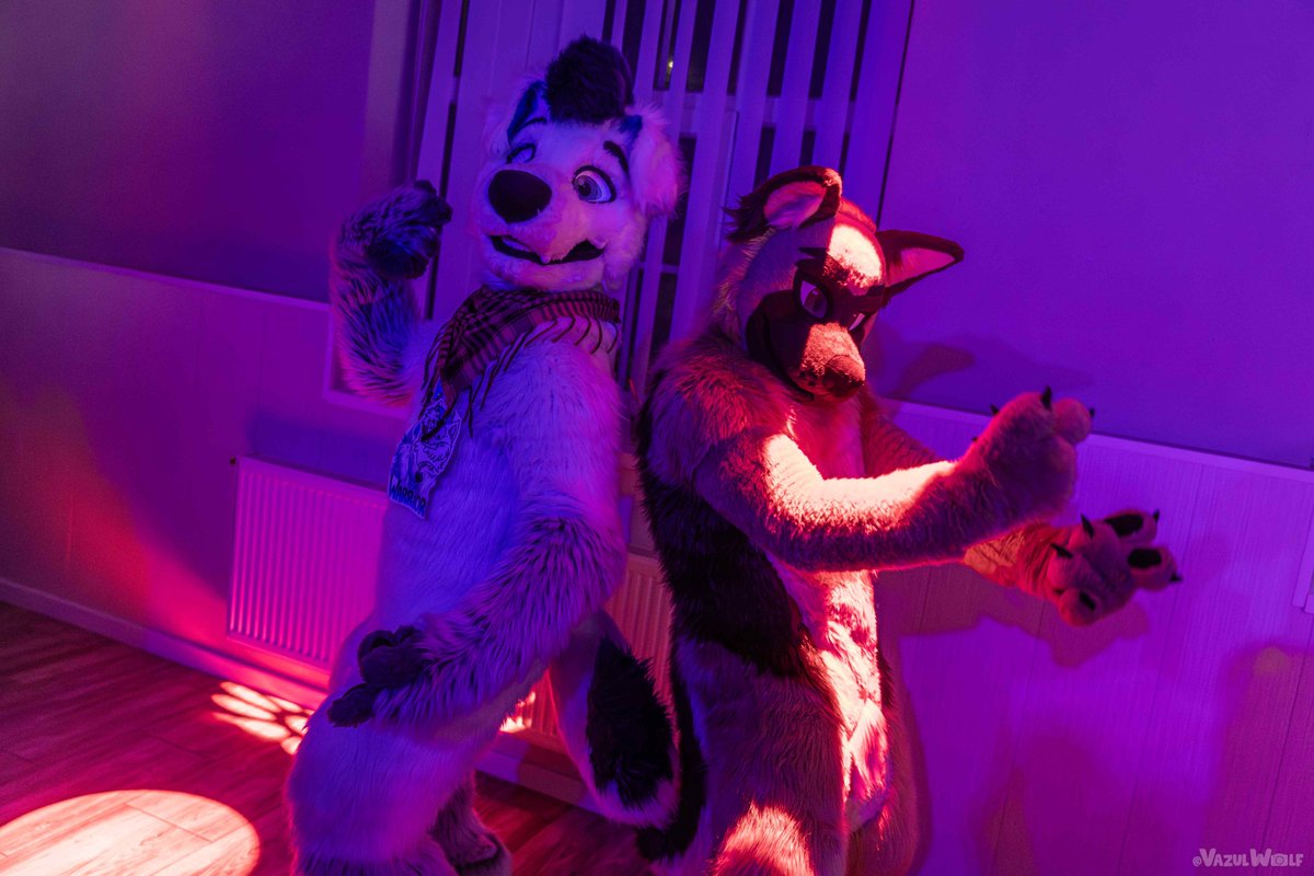 Hungarian Diva Doggo tweet media