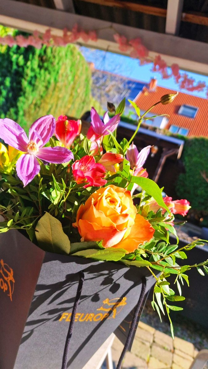 MogliLive tweet media