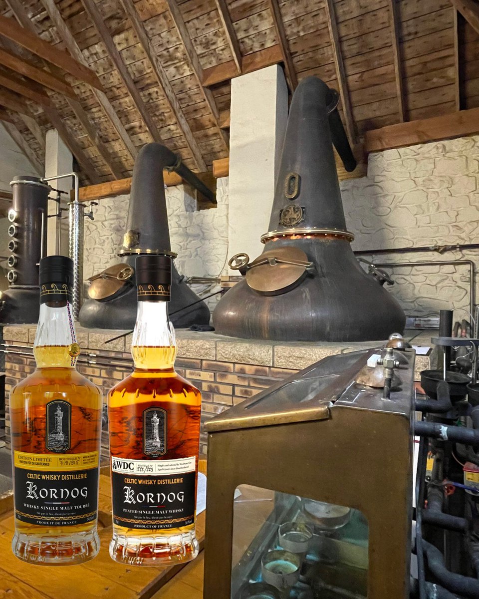 Coldorak 🥃 tweet media