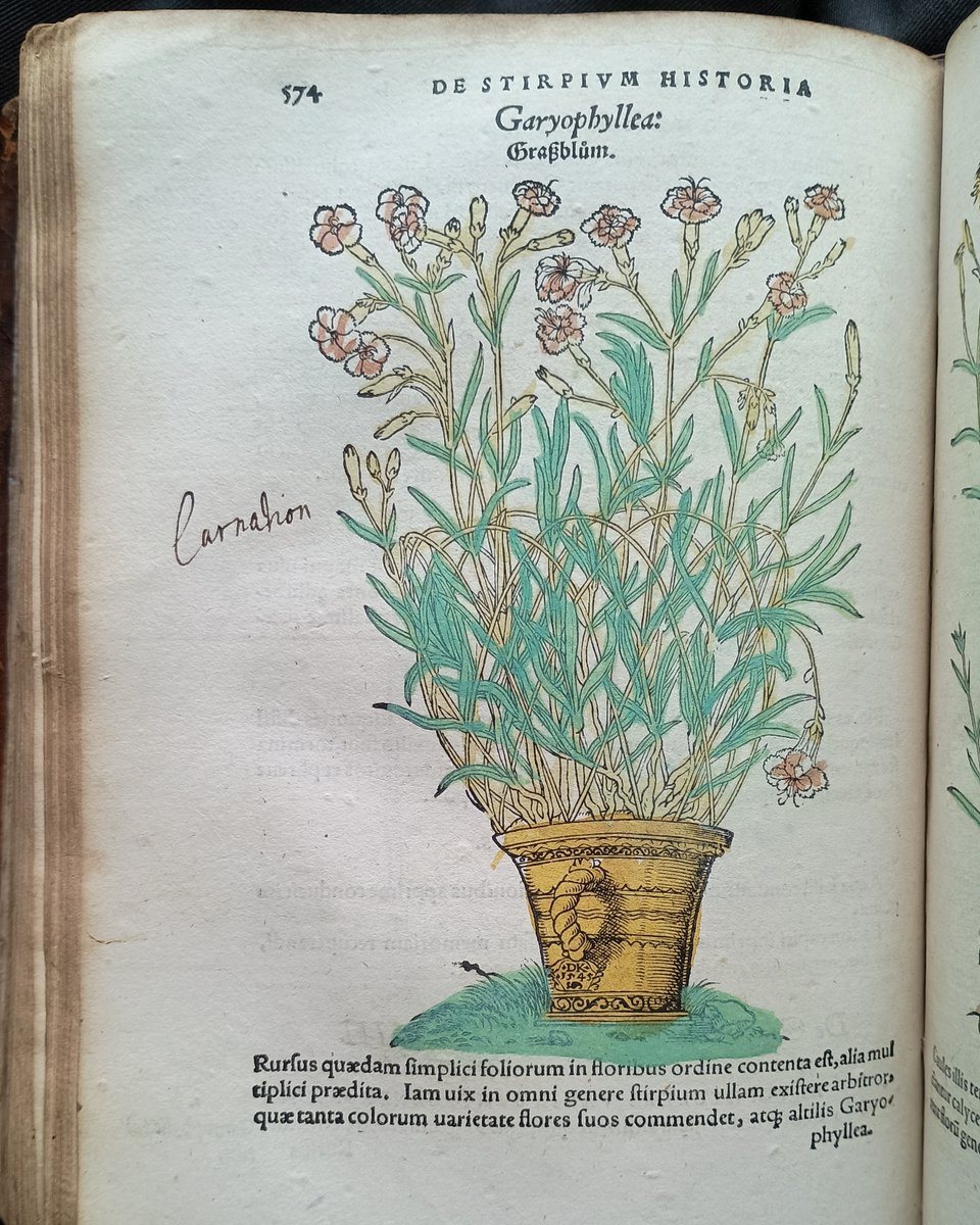 Marsh's Library tweet media