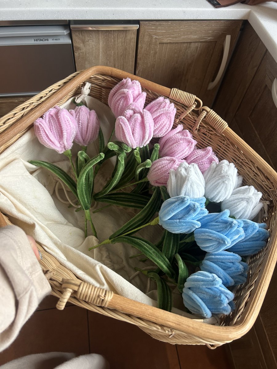 きなこっこ🐔 (@kinakokkonew) / Posts / X