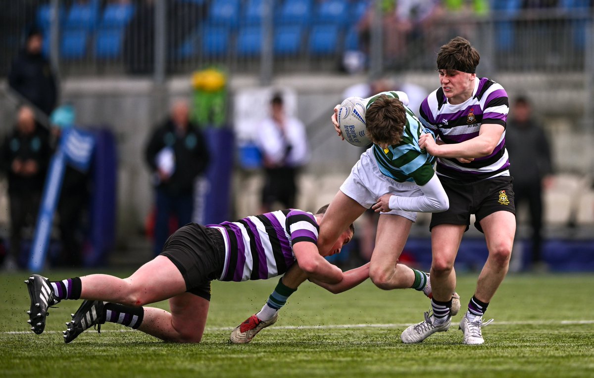 Leinster Domestic tweet media