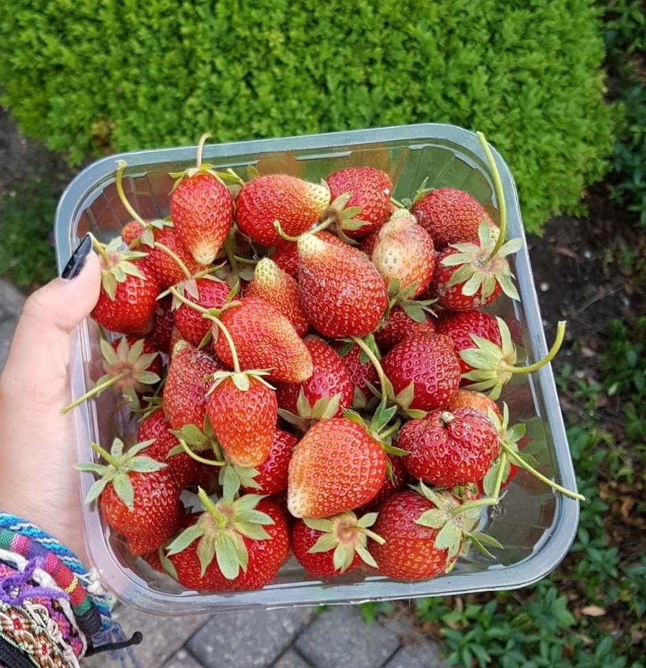 fleur☀️🍓 tweet media