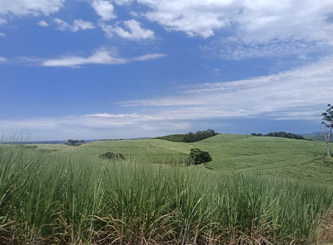 Jayed-Leigh Paulse tweet media