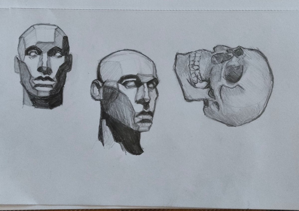 IwopCor 🦦 tweet media