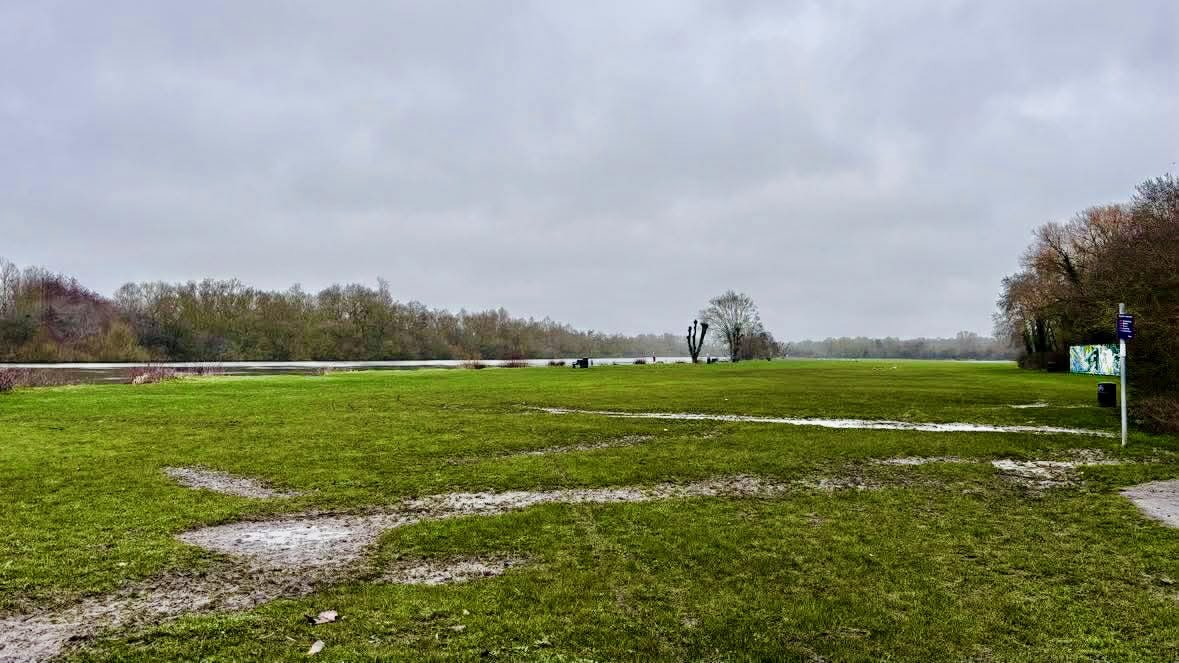 Reading parkrun tweet media