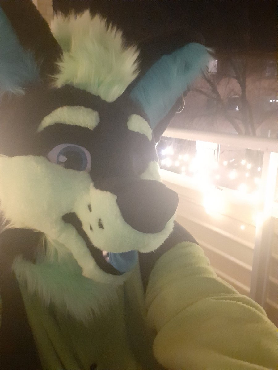 Arrack the sauna wuffer 🏳️🌈 tweet media