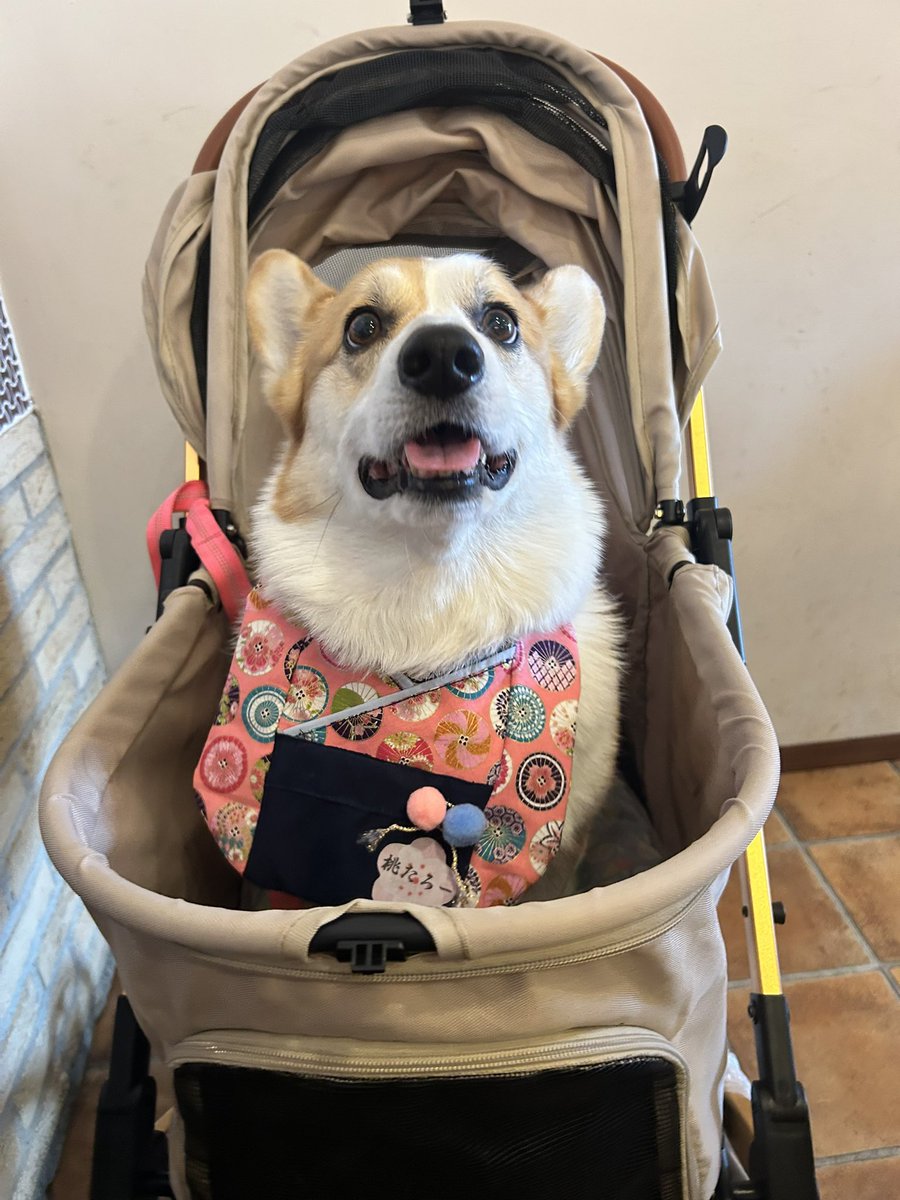 なんと言うか、 『さすがの皆さま、ありがとう！！』 と言いたいですな