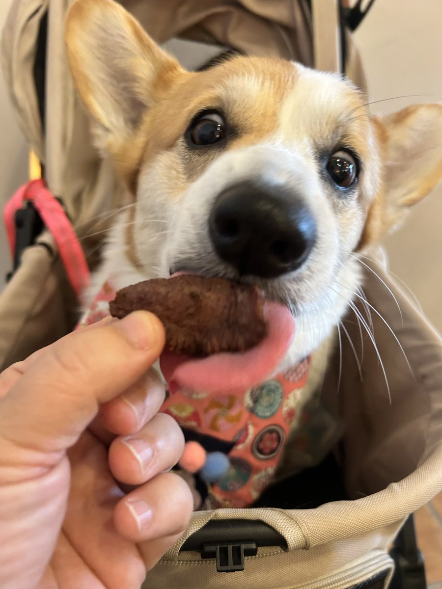 なんと言うか、 『さすがの皆さま、ありがとう！！』 と言いたいですな