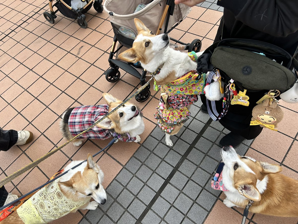 なんと言うか、 『さすがの皆さま、ありがとう！！』 と言いたいですな