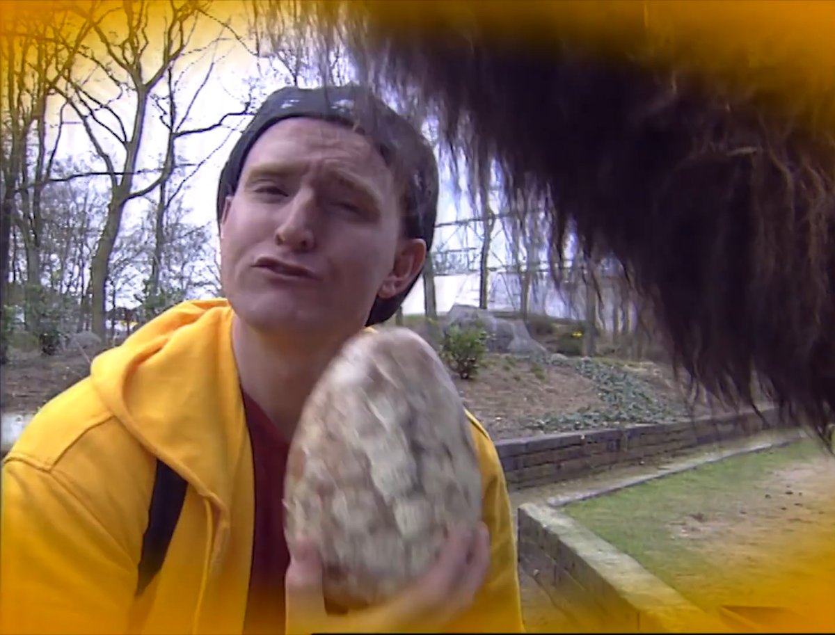 EenBFrames's tweet photo. Seizoen 1 - Aflevering 1; Een Eenzaam Ei

Frame 6666 https://t.co/TpWt7zybn0