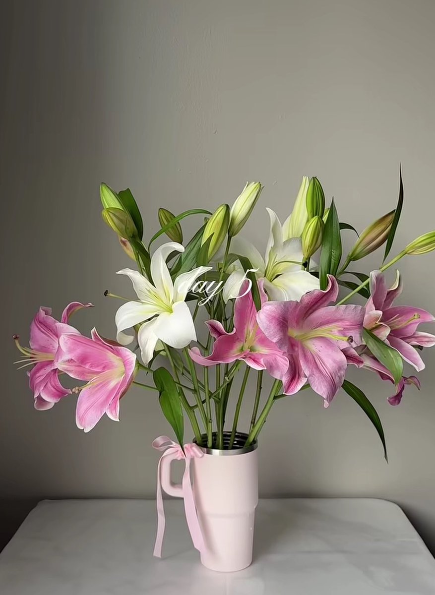 1 day                                      5 day