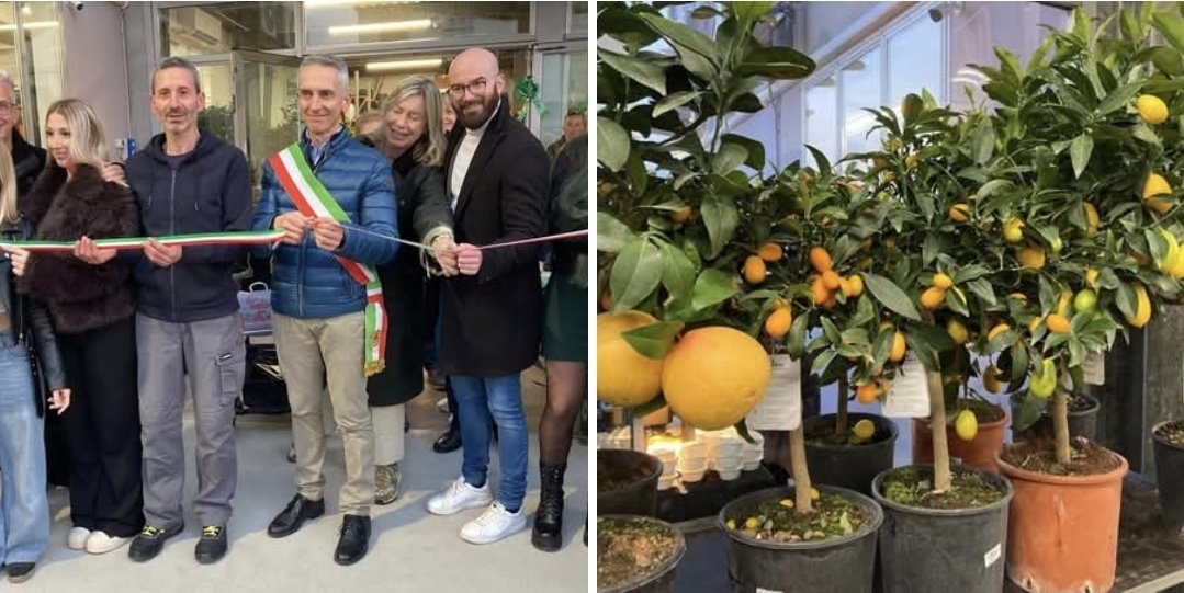 FrancescoM1990's tweet photo. 🎉 BENVENUTA Agri2.0🎉

👉🏻 Ieri, insieme al Sindaco Spagnol e all'Assessore Sabato, abbiamo avuto il piacere di dare il benvenuto ad Agri2.0 e al suo staff che hanno deciso di puntare su #Sacile per ampliare la loro attività. A tutti loro il nostro grande "in bocca al 🐺" 🤗 https://t.co/g95OGLGxJR