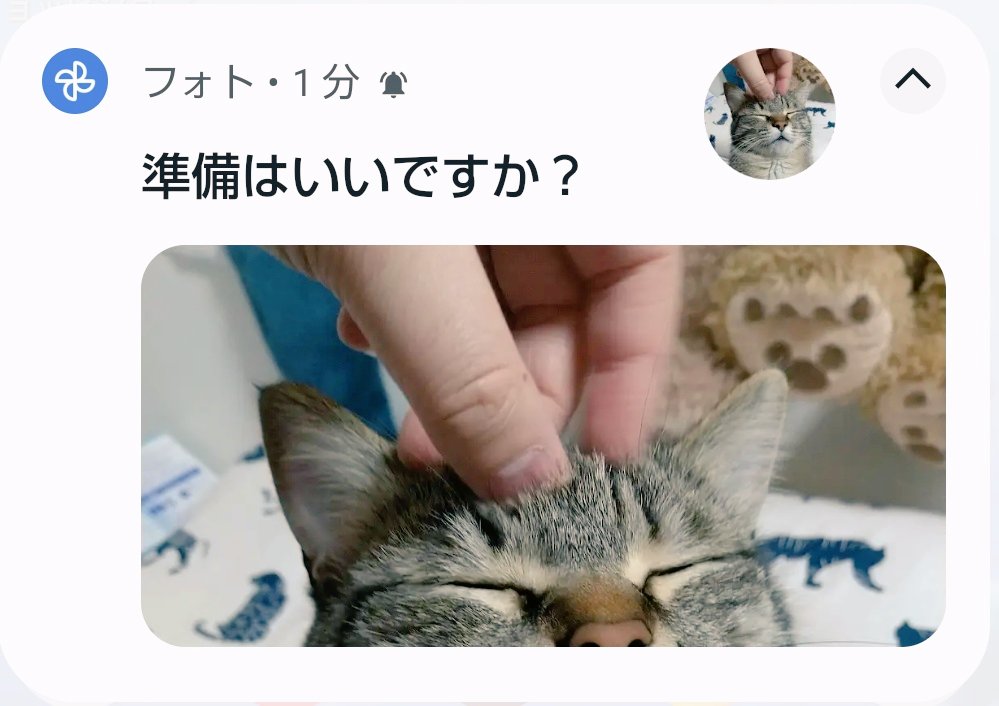 ゴロー🐾 (@cat_56chan) / Posts / X